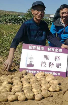 Potato project